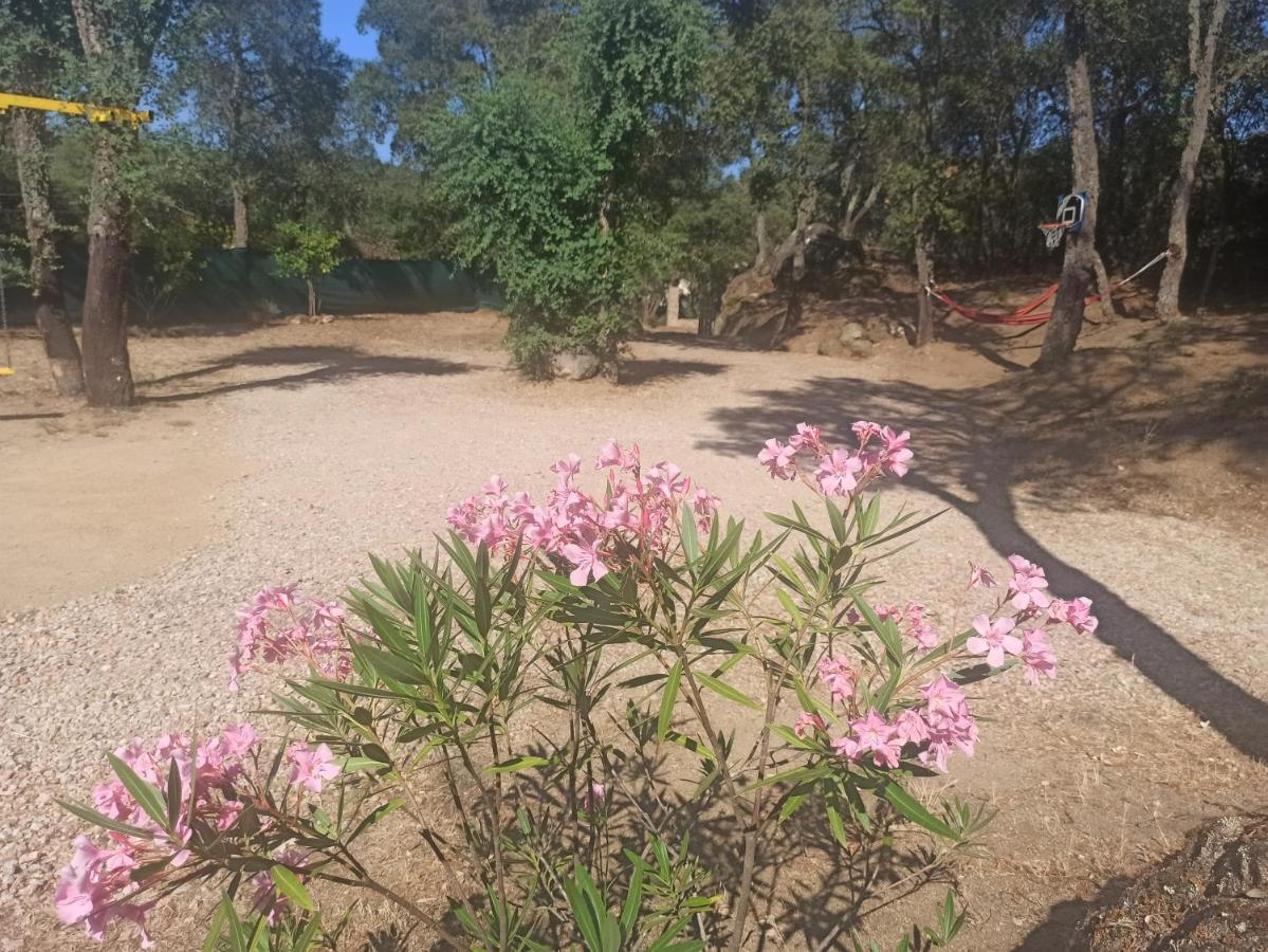 Chalet En Entorno Natural De La Costa Brava Bell-Lloc  Dış mekan fotoğraf