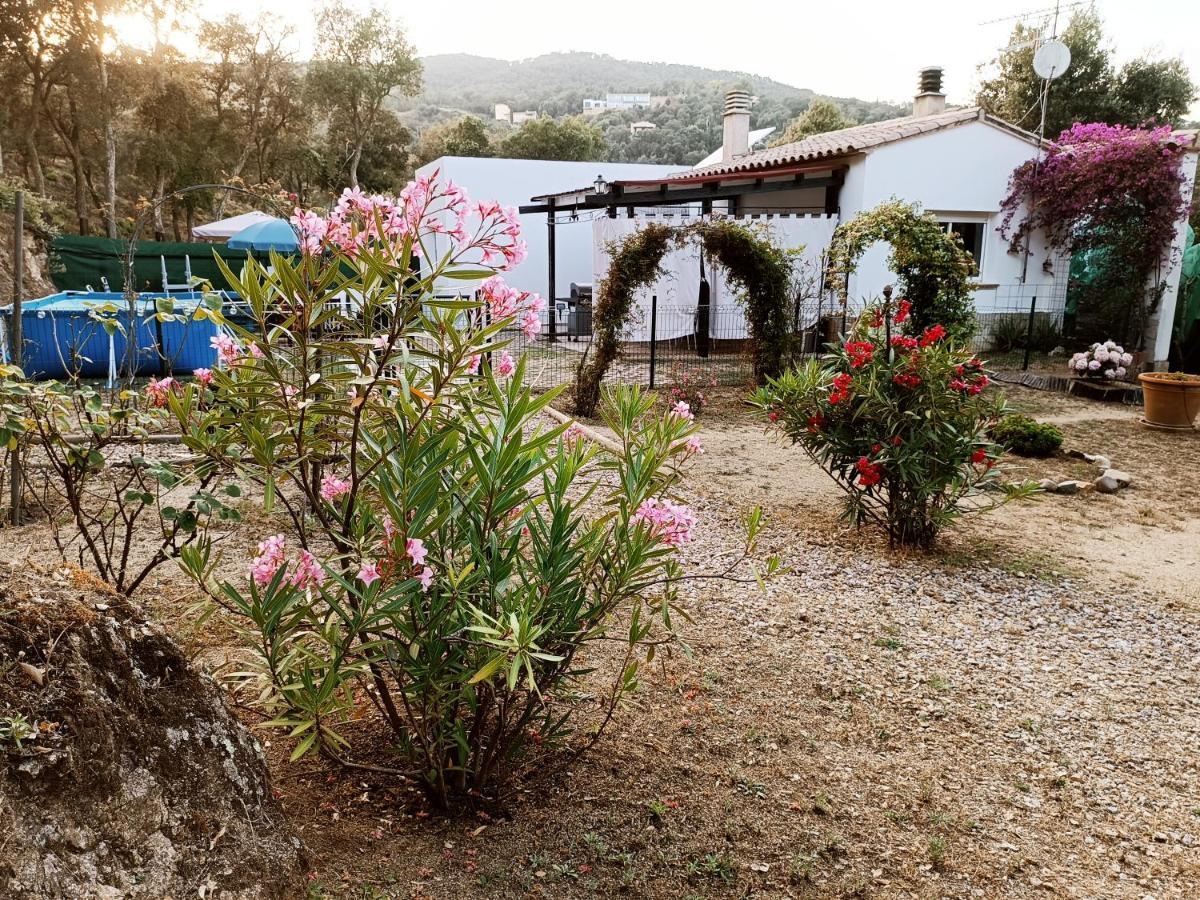 Chalet En Entorno Natural De La Costa Brava Bell-Lloc  Dış mekan fotoğraf